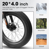 A20316 20 Inch Fat Tire Bike Adult Teen Full Shimano 7 Speed Mountain Bike, Dual Disc Brakes, High Carbon Steel Frame, Front Suspension, Mountain Dirt Bike, City Commuter City Bike, Fat Tire Bike Grey Without Durable Garden & Outdoor Retro Muscle