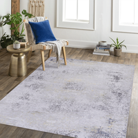 5X8 Area Rug, Washable Rug, Low Pile, Non Slip, Non Shedding, Foldable, Kid & Pet Friendly Area Rugs For Living Room, Bedroom, Kitchen, Dining Room Rug Perfect Gifts, Gray Gold, 5' X 8' Gray Chenille Polyester