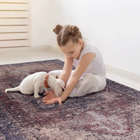 Naar 2X3 Washable Area Rugs, Low Pile, Non Slip, Non Shedding, Foldable, Kid & Pet Friendly Area Rugs For Living Room, Bedroom, Kitchen, Dining Room Rug Perfect Gifts, Burdy, 2' X 3' Burgundy Chenille Polyester