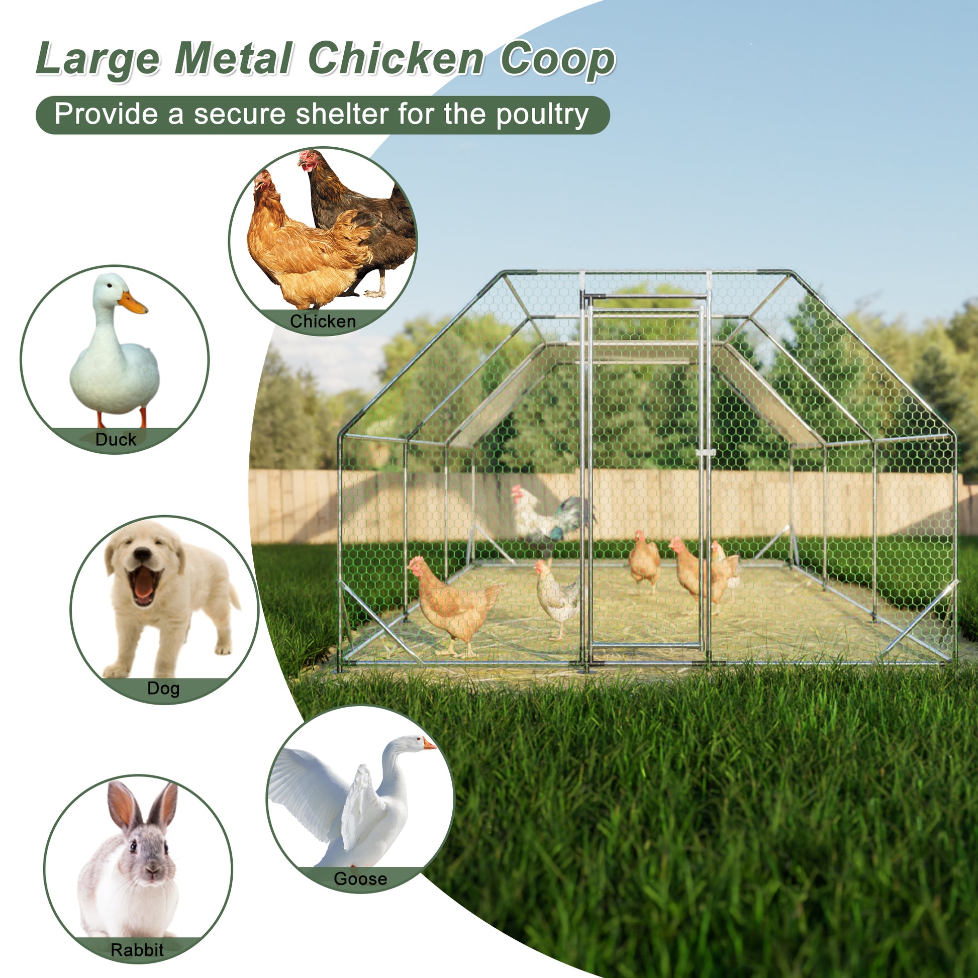 10 Ft. X 20 Ft. Galvanized Large Metal Walk In Chicken Coop Cage Farm Poultry Run Hutch Hen House Silver Iron