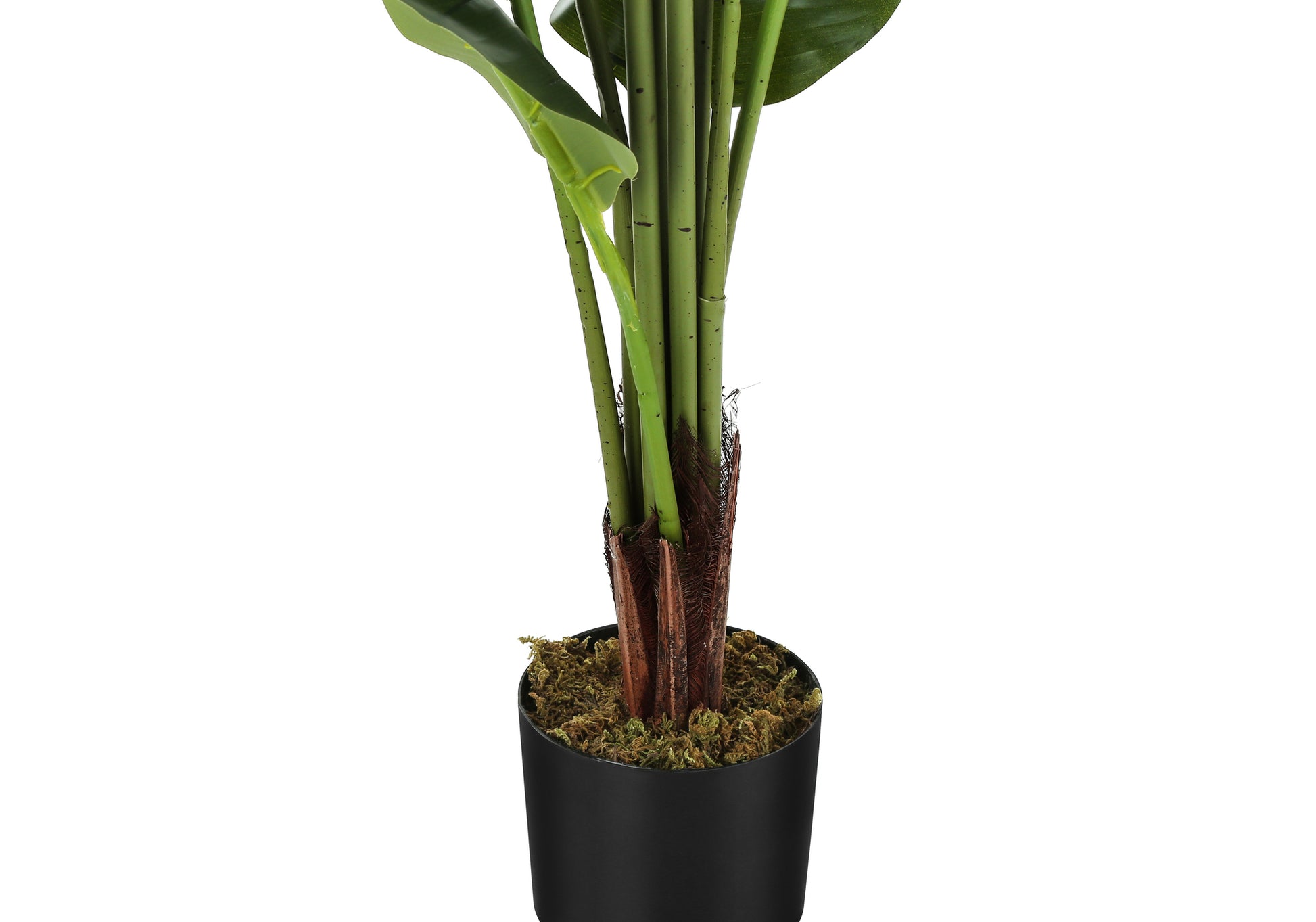 Artificial Plant, 59" Tall, Strelitzia Tree, Indoor, Faux, Fake, Floor, Greenery, Potted, Real Touch, Decorative, Green Leaves, Black Pot Green Plastic