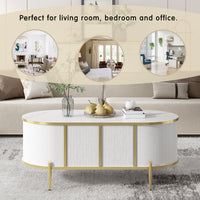 Modern Luxury Oval Shaped Fluted Coffee Table, Marble Patterned Top Coffee Table With 2 Cabinets, Metal Legs And Handles For Living Room, White Date Of Expected Arrival: 11.20 White Mdf