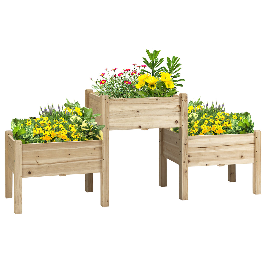 Outsunny Raised Garden Bed With 3 Planter Box, Elevated Wooden Plant Stand With Drainage Holes, For Vegetables, Herb And Flowers, Natural Natural Wood