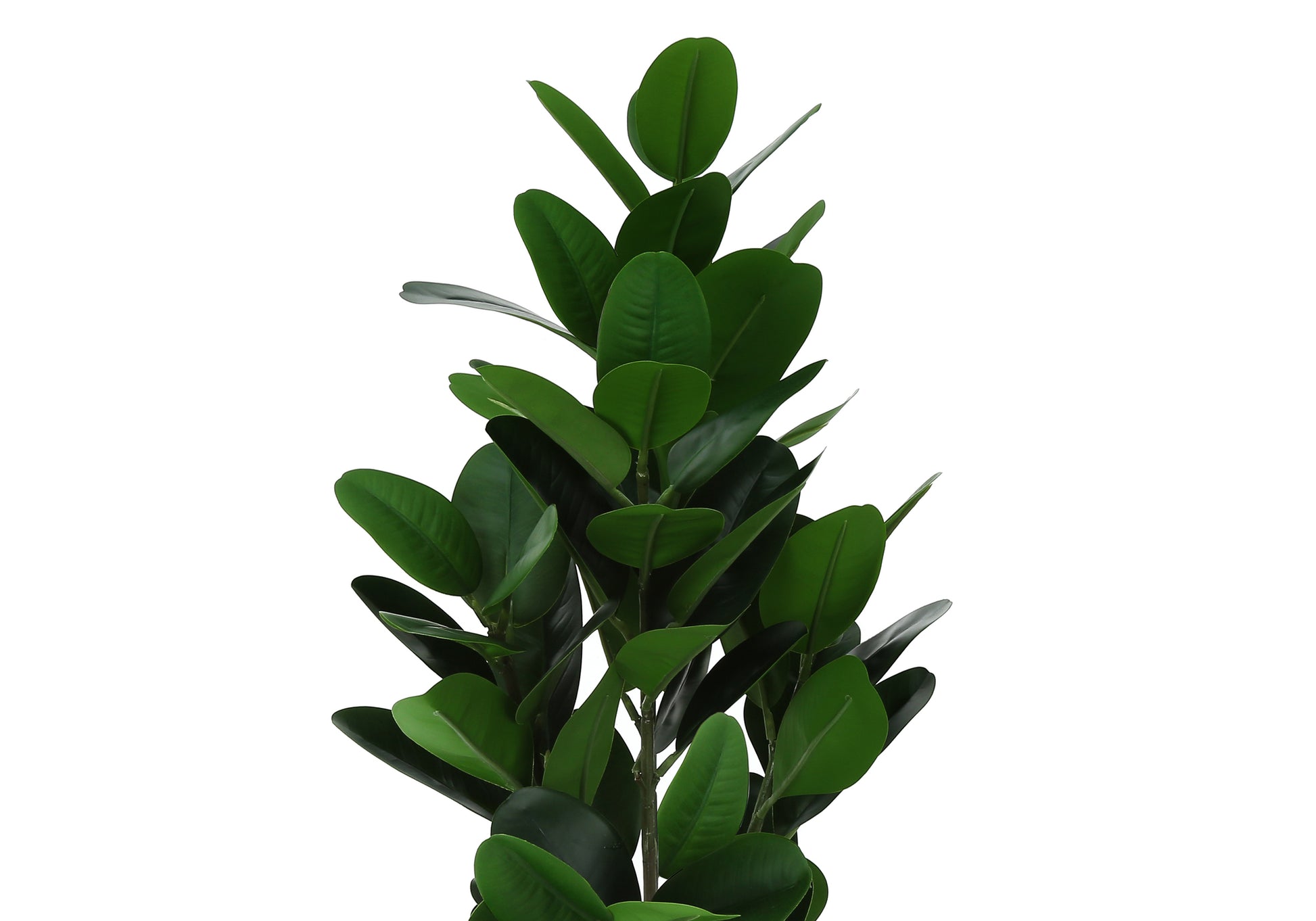 Artificial Plant, 28" Tall, Garcinia Tree, Indoor, Faux, Fake, Floor, Greenery, Potted, Real Touch, Decorative, Green Leaves, Black Pot Green Foam Plastic