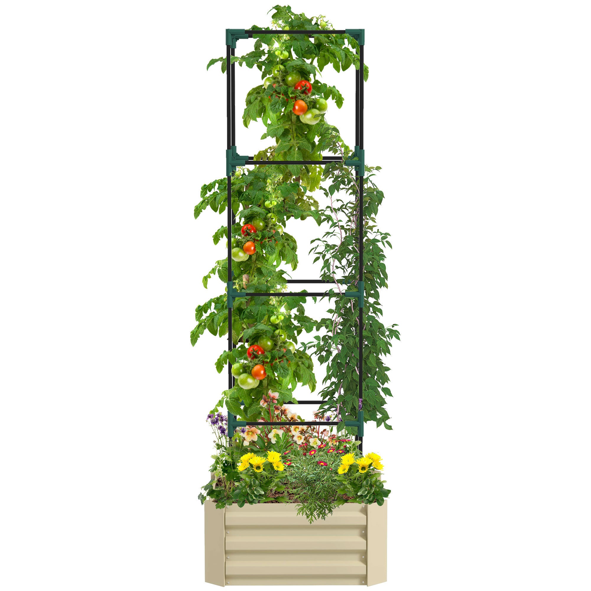 Outsunny Galvanized Raised Garden Bed, 24" X 24" X 11.75" Outdoor Planter Box With Trellis Tomato Cage And Open Bottom For Climbing Vines, Vegetables, Flowers In Backyard, Garden, Patio, Cream White Steel