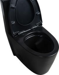 Toilet Seat Cover Only, Black 23T01 Mbp01 Black Acrylic