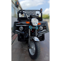 Electric Three Wheel 1.6M With Hydraulic Lifting Unit Black Abs Rubber Steel Q235