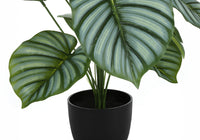 Artificial Plant, 24" Tall, Calathea, Indoor, Faux, Fake, Table, Greenery, Potted, Real Touch, Decorative, Green Leaves, Black Pot Green Foam Plastic