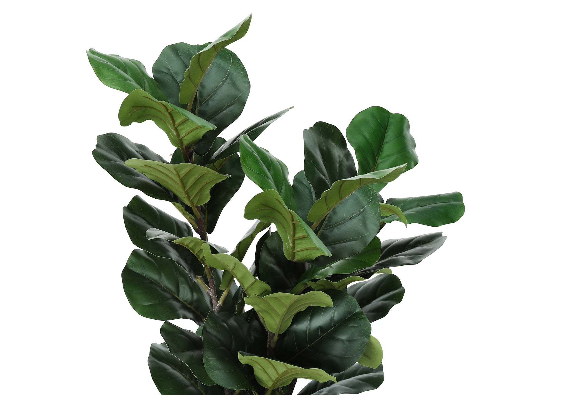 Artificial Plant, 32" Tall, Fiddle Tree, Indoor, Faux, Fake, Floor, Greenery, Potted, Real Touch, Decorative, Green Leaves, Black Pot Green Foam Plastic