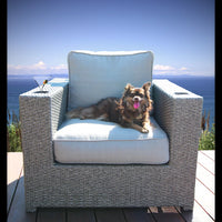 Fully Assembled Patio Chair With Cushions Yes Sectional Grey Rust Resistant Frame Stain Resistant Cushions Garden & Outdoor Modern Sofa Seating Groups Foam Wicker