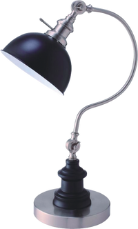 22"H Satin Nickle Good Neck Table Lamp Matte Black,Nickel Led Metal