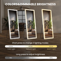 3 Color Lighting Mirror With Led Lights, 71"X26" Lighted Floor Standing Mirror With Stand Black Fiberglass