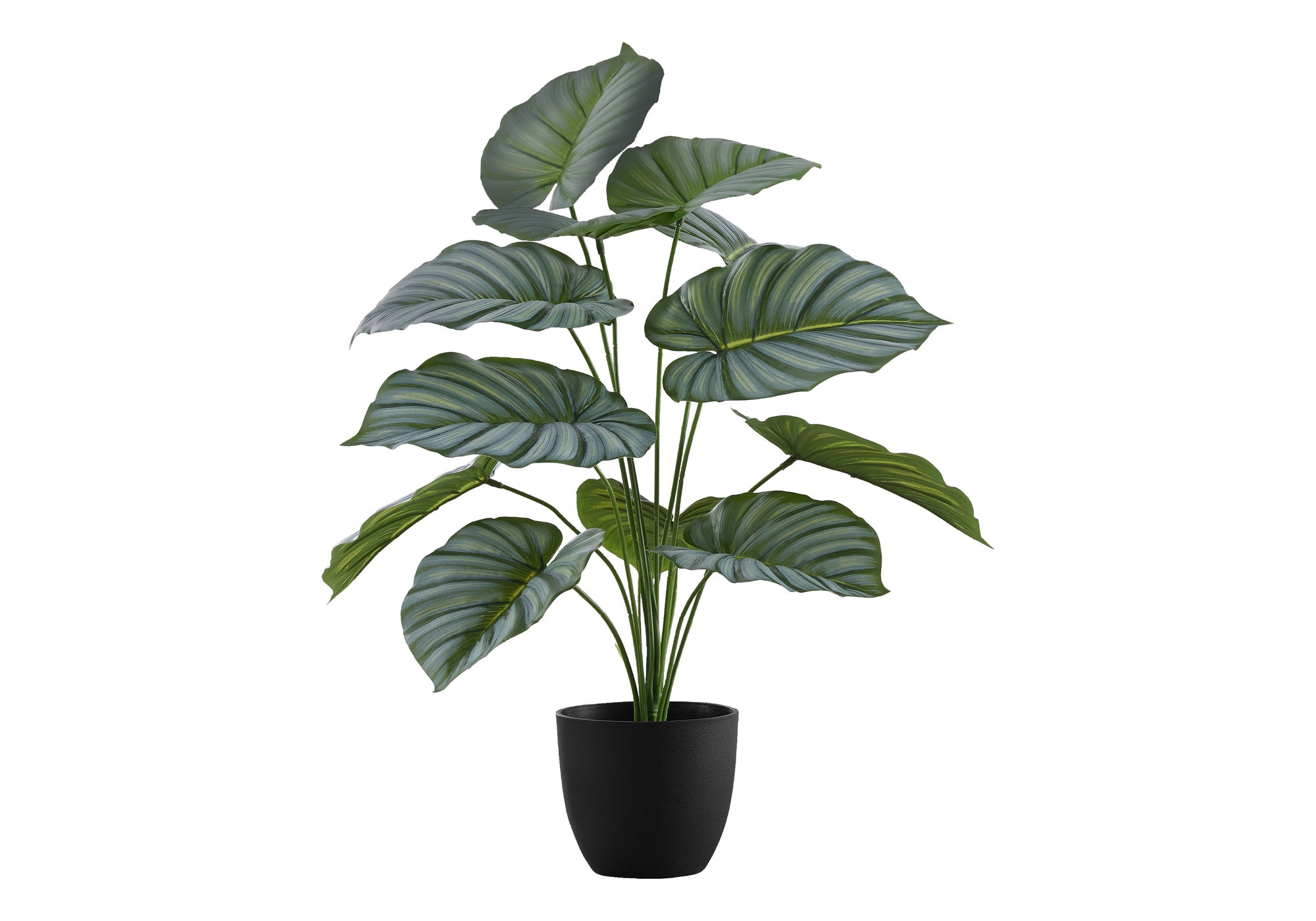 Artificial Plant, 24" Tall, Calathea, Indoor, Faux, Fake, Table, Greenery, Potted, Real Touch, Decorative, Green Leaves, Black Pot Green Foam Plastic