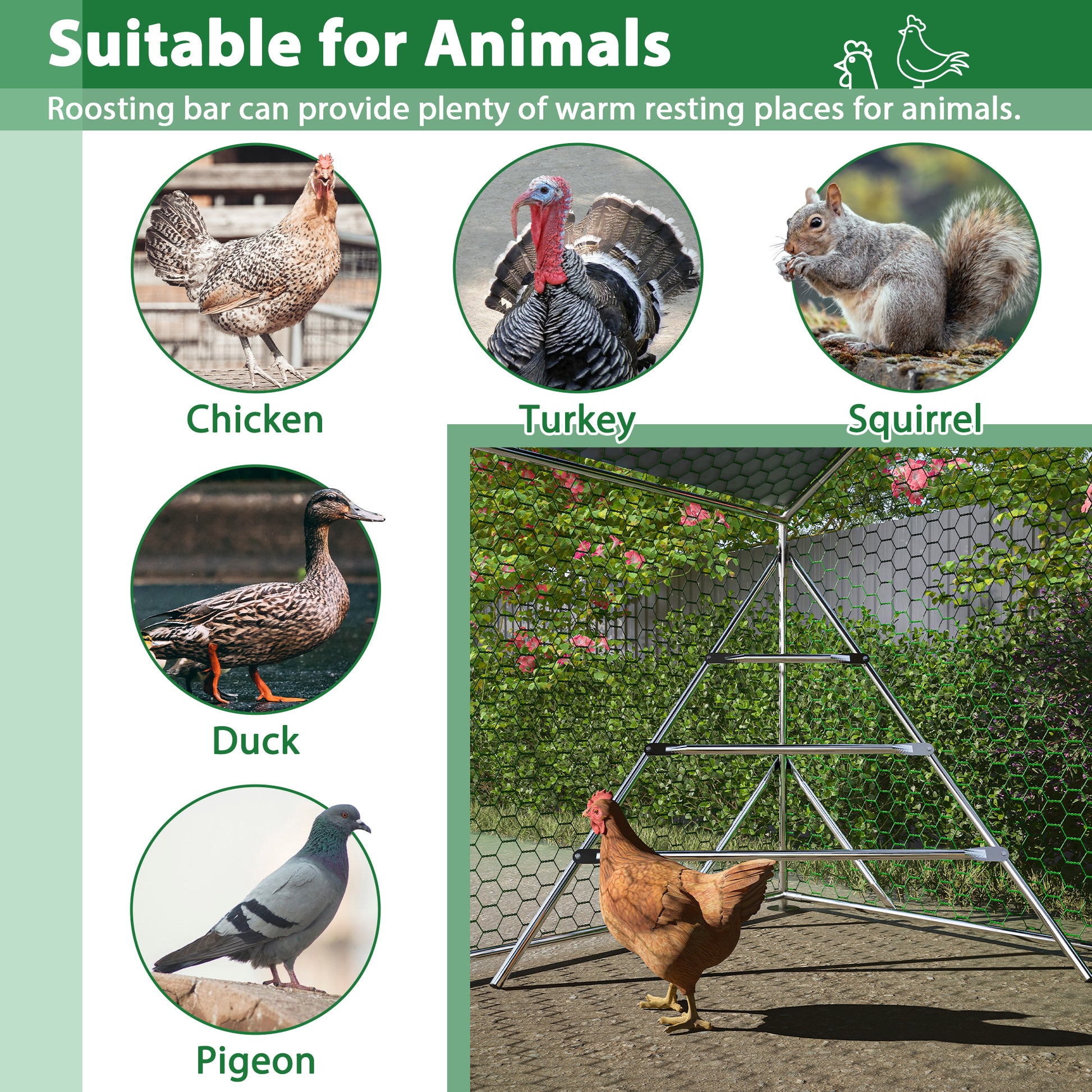 10 Ft. X 6.6 Ft. Large Metal Walk In Chicken Coop Galvanized Poultry Cage With Roosting Bar Farm Hen House Silver Metal