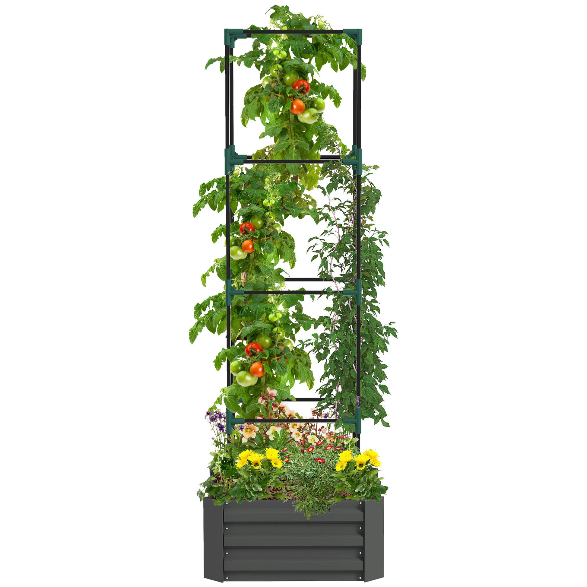 Outsunny Galvanized Raised Garden Bed, 24" X 24" X 11.75" Outdoor Planter Box With Trellis Tomato Cage And Open Bottom For Climbing Vines, Vegetables, Flowers In Backyard, Garden, Patio, Gray Gray Steel