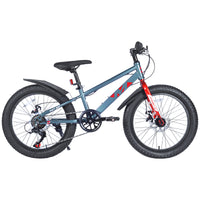 20 Inch Kids Bicyclesfat Tire Mountain Bike For Boys And Girls Age 5 Years ,Dual Disc Brake,Shimano 7 Speed ,Kids Beach And Snow Bicycle Grey Steel