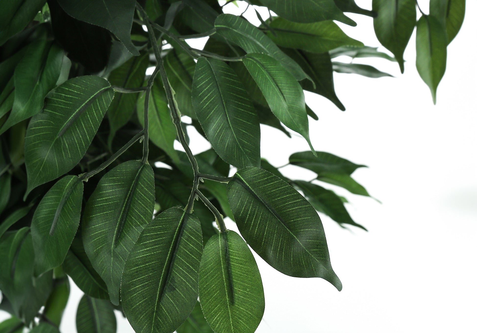 Artificial Plant, 58" Tall, Ficus Tree, Indoor, Faux, Fake, Floor, Greenery, Potted, Decorative, Green Leaves, Black Pot Green Plastic