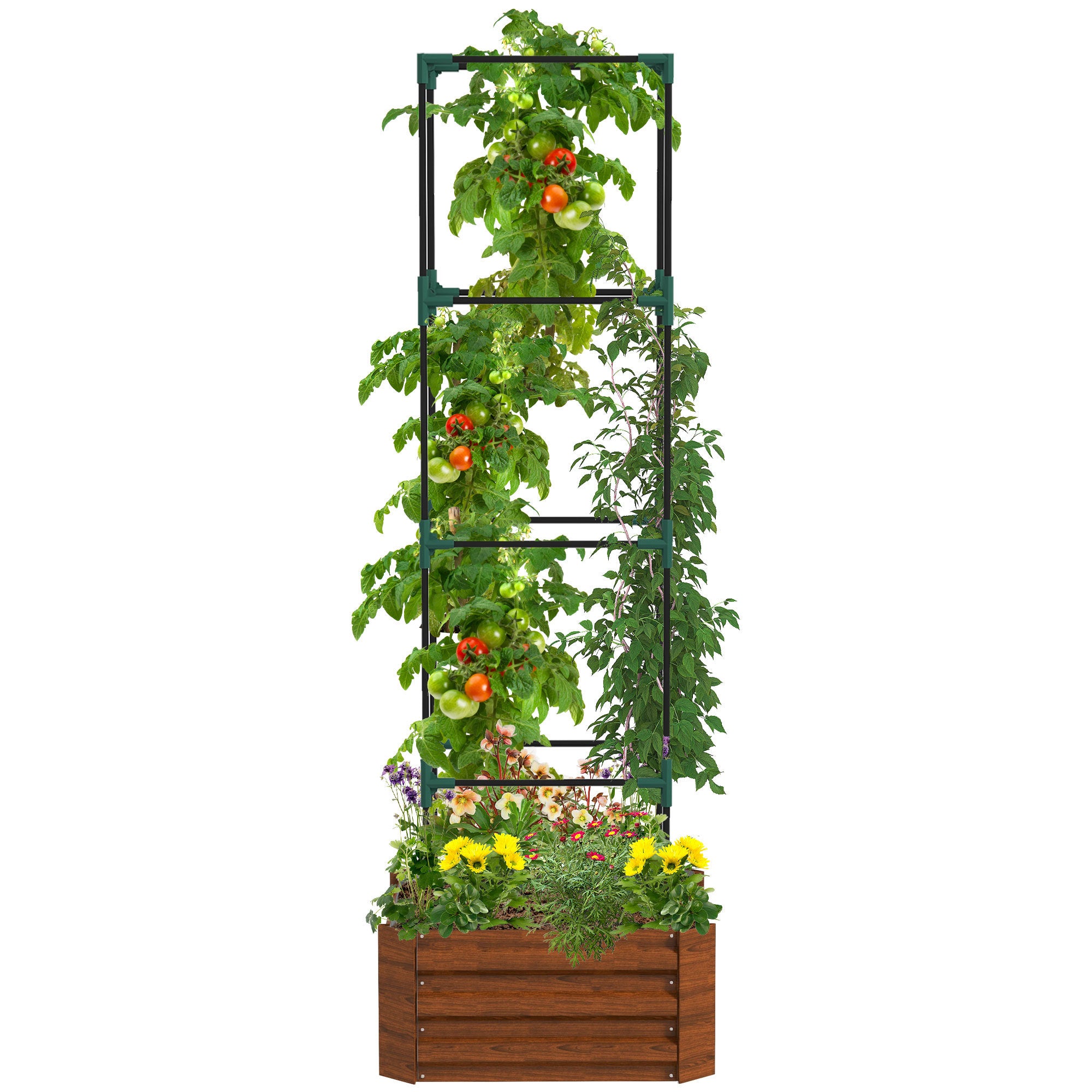 Outsunny Galvanized Raised Garden Bed, 24" X 24" X 11.75" Outdoor Planter Box With Trellis Tomato Cage And Open Bottom For Climbing Vines, Vegetables, Flowers In Backyard, Garden, Patio, Brown Brown Steel