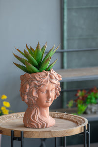 8X9X11.5" Brown Head Bust Planter, Greek Style Cement Head Planter Indoor Outdoor Home Garden Decor Brown Garden & Outdoor Cement