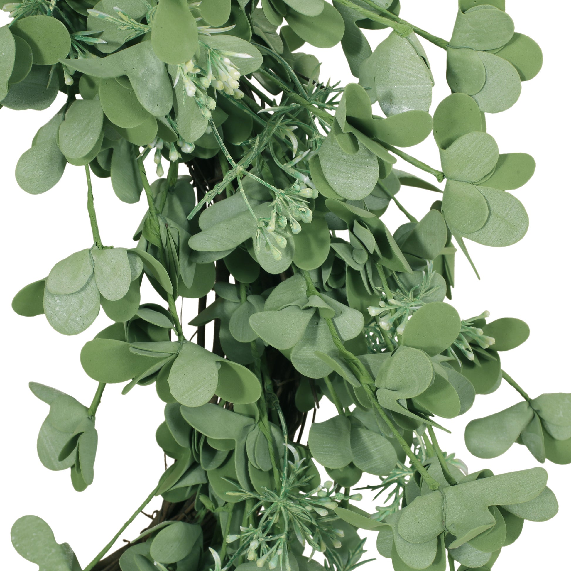 27" Oxalis Corniculata Wreath Green Polyester