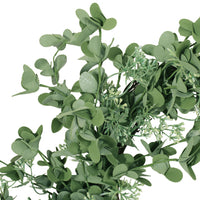 27" Oxalis Corniculata Wreath Green Polyester